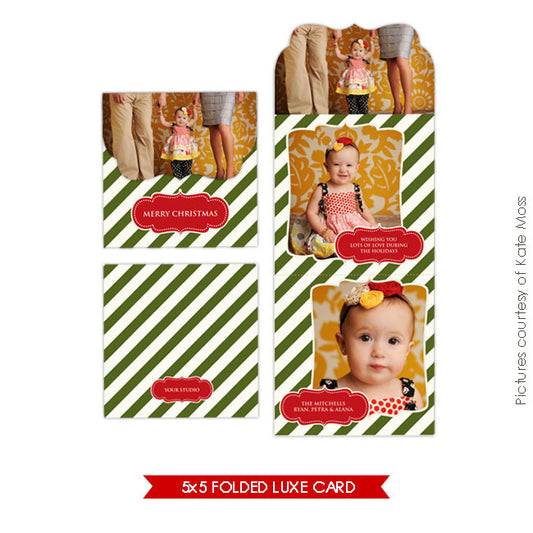 Holiday Ornate Photocard  | Luxe vintage classic e161