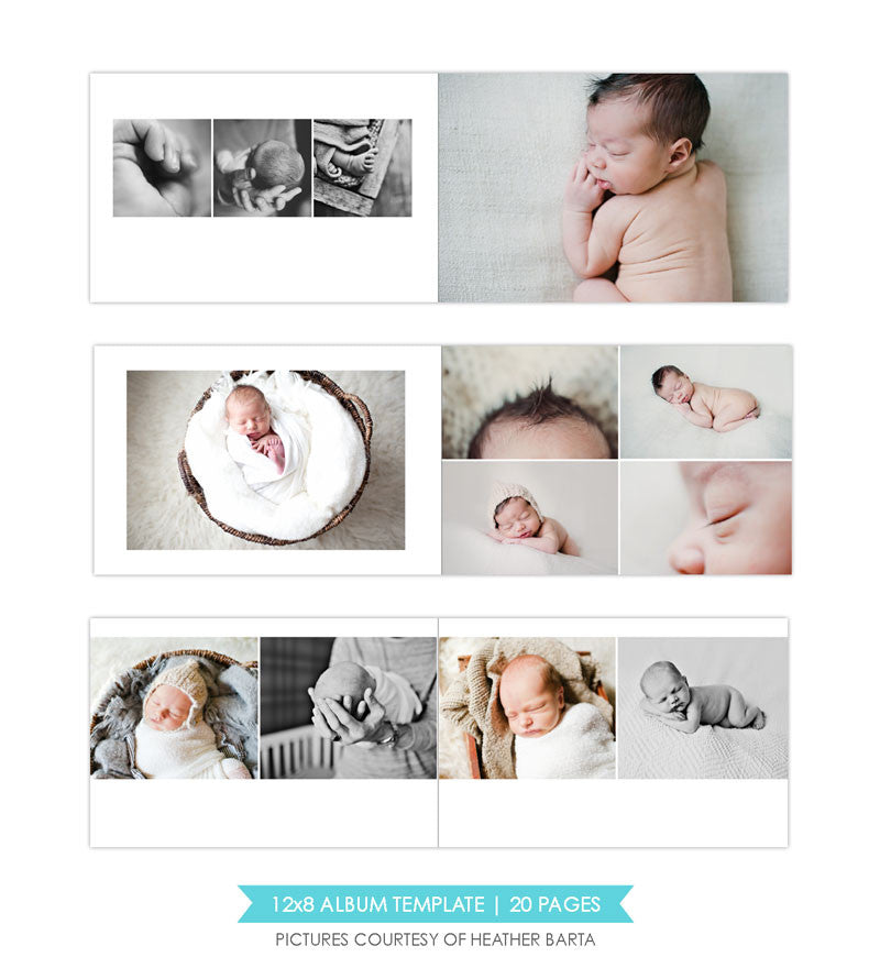 White luxury | 12x8 Album template - e1068