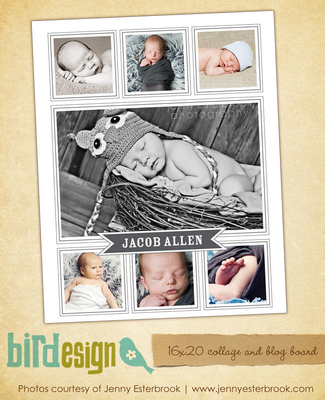 16x20 collage & blog board | Babies - e467